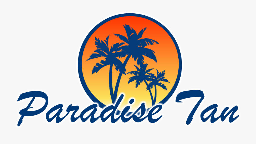 Palm Tree, Transparent Clipart