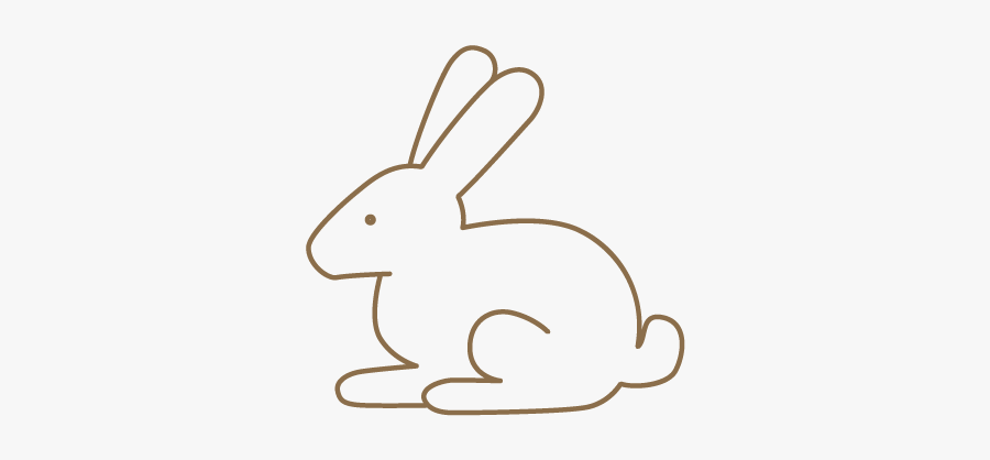 Tan Lounge Spray Tan Brisbane Icon Cruelty Free - Domestic Rabbit, Transparent Clipart