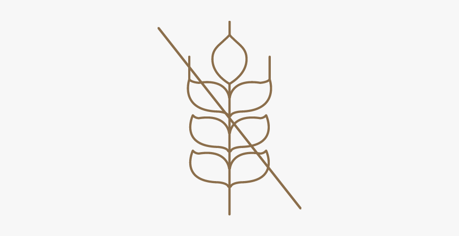 Tan Lounge Spray Tan Brisbane Icon Gluten Free, Transparent Clipart