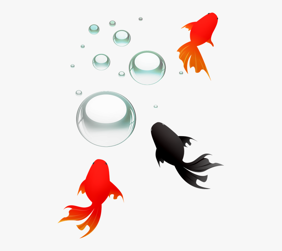 Fish, Koi, Goldfish, Black Fish, Underwater, Carp - Gambar Kartun Ikan Koi Hitam, Transparent Clipart