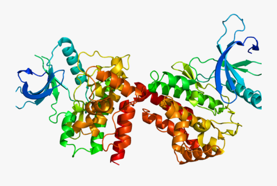 Janus Kinase 2, Transparent Clipart