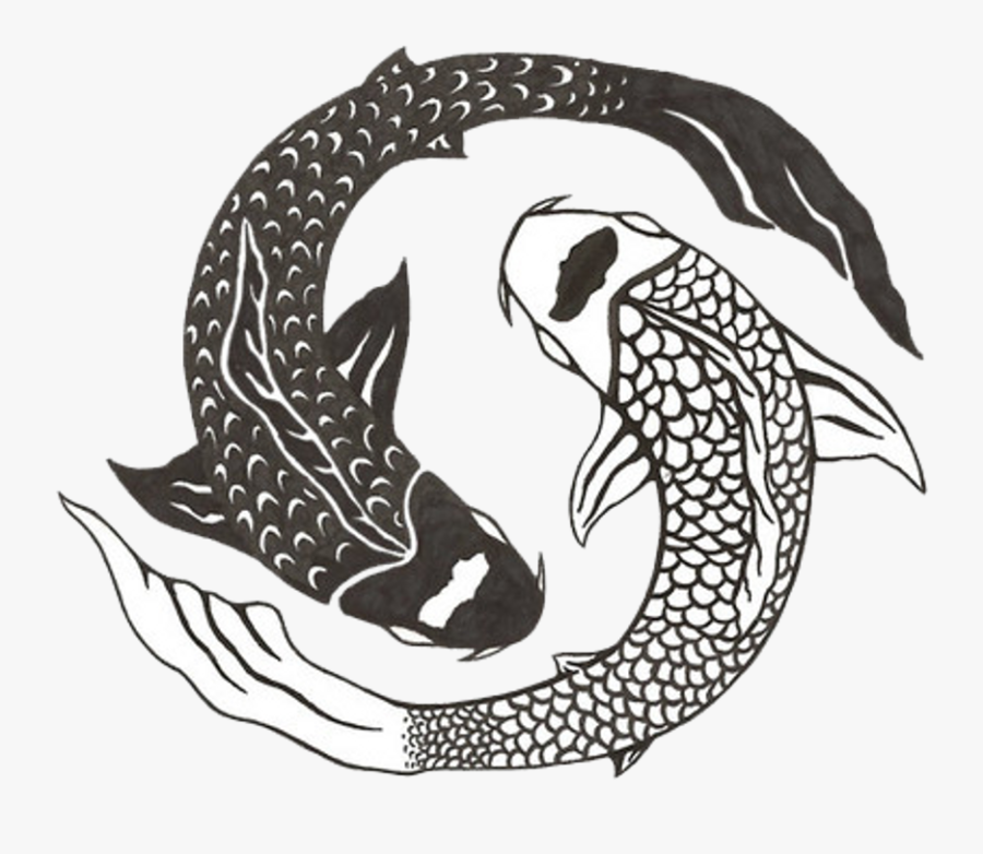 Drawn Koi Fish Aesthetic - Chinese 2 Fish Symbol, Transparent Clipart