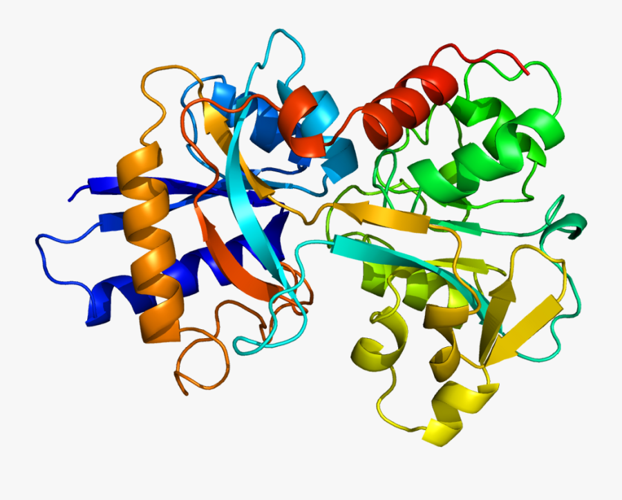 Protein Tf Pdb 1a8e - African Iron Overload, Transparent Clipart