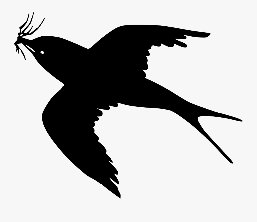 Bird Gulls Crows Drawing Clip Art - Cartoon Black Bird Flying, Transparent Clipart