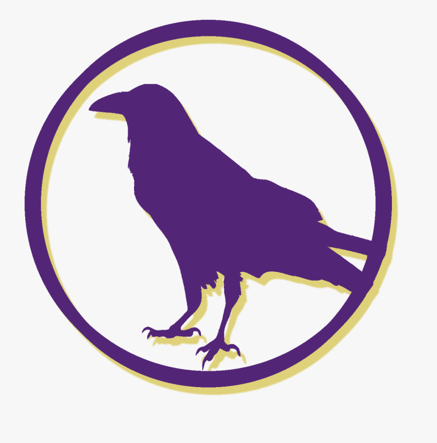 Raven Bird Silhouette, Transparent Clipart