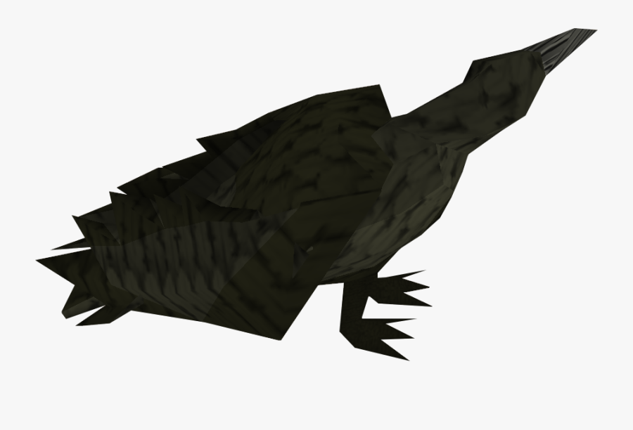 Turkey, Transparent Clipart