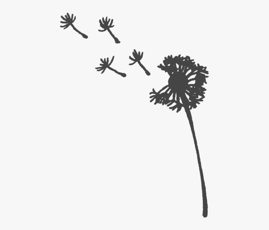 Freetoedit Dandelions Dandelionseeds Png Transparentbac - Dessin Noir Et Blanc Png, Transparent Clipart