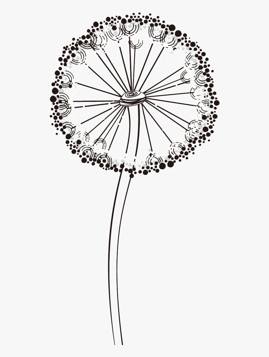 Drawing Dandelion Drawn - Dandelion, Transparent Clipart