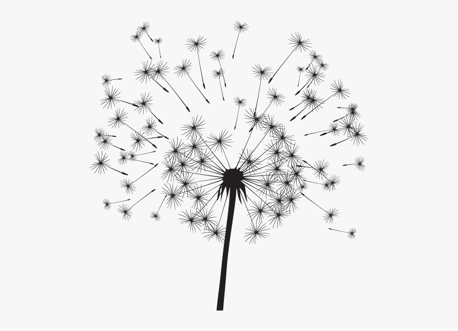 Dandelion, Transparent Clipart