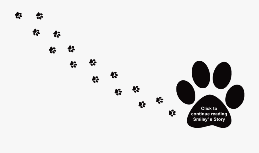 Dog Paw Print Trail , Transparent Cartoons - Dog Transparent Paw Prints, Transparent Clipart
