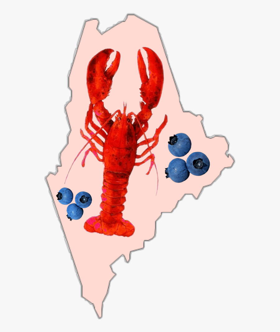 #maine #state #barharbor #states #lobster #blueberries, Transparent Clipart