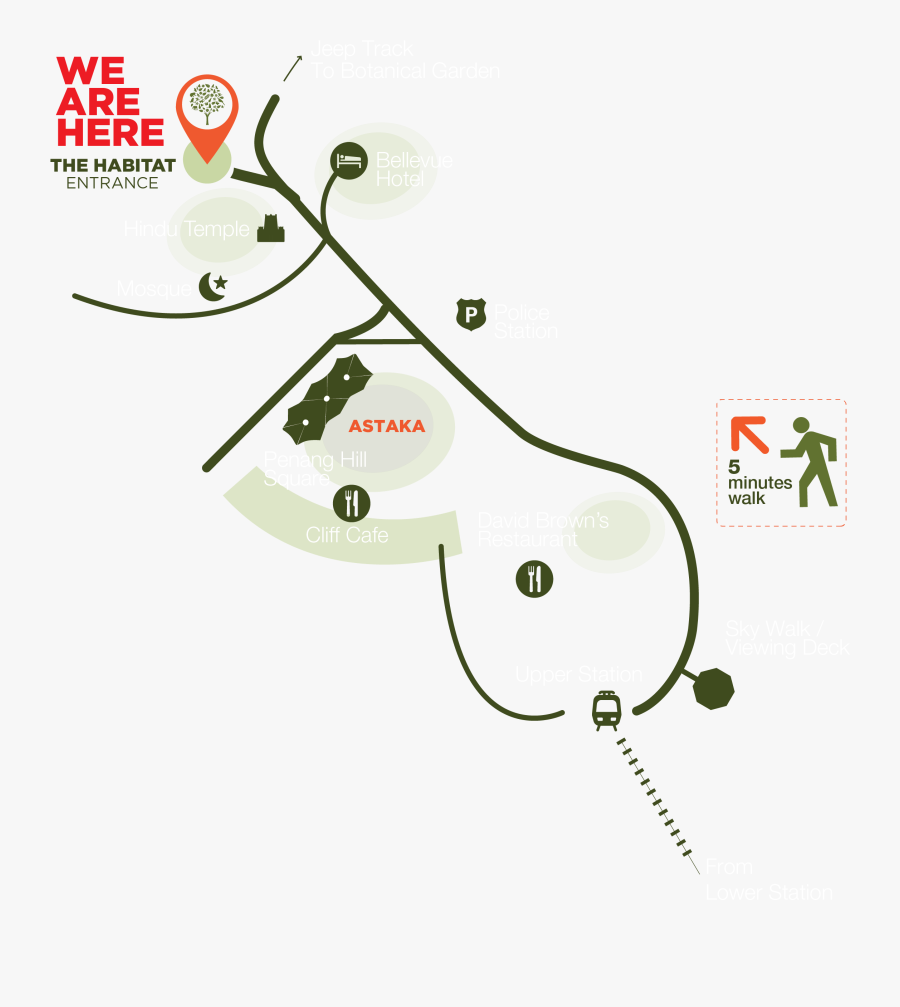 Tree, Transparent Clipart