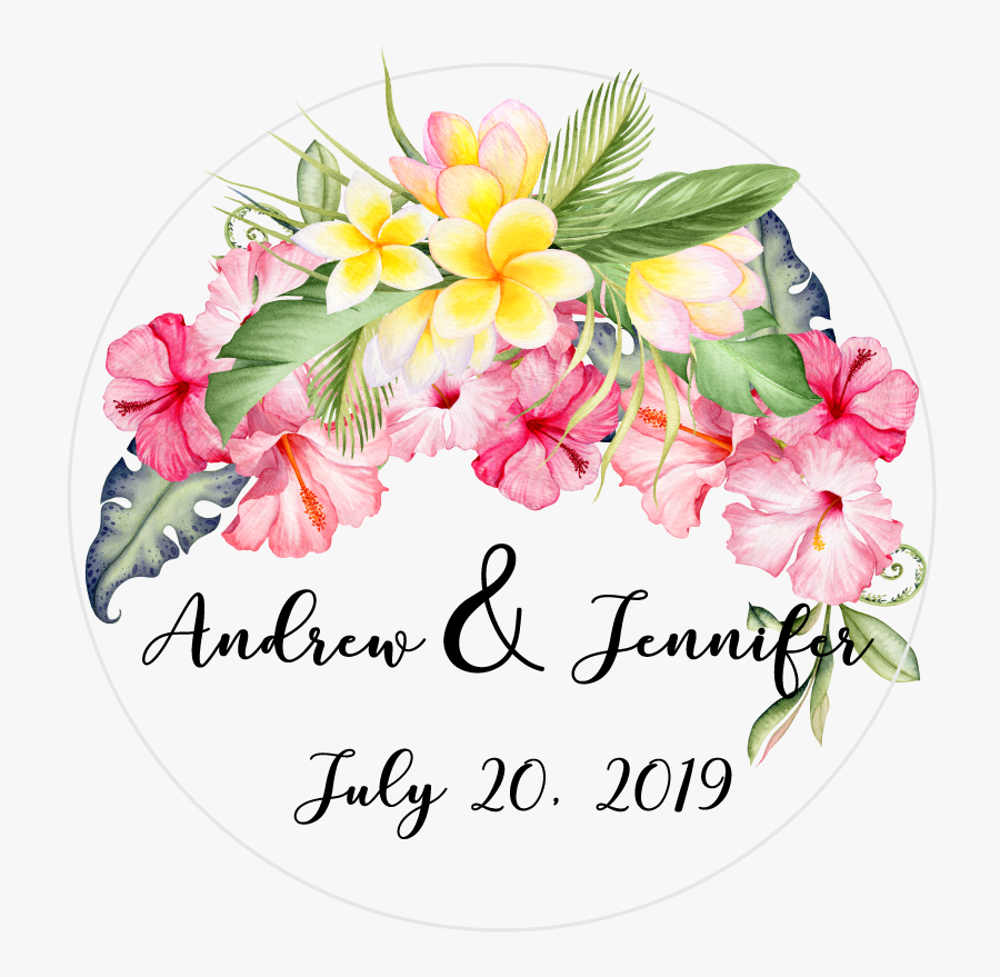 Impatiens, Transparent Clipart