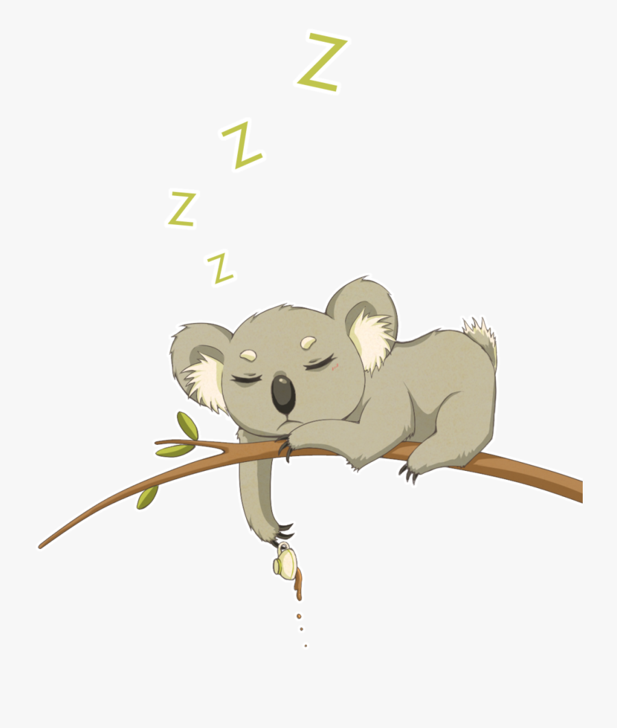 Drawn Koala Kawaii - Koala Png Cute, Transparent Clipart