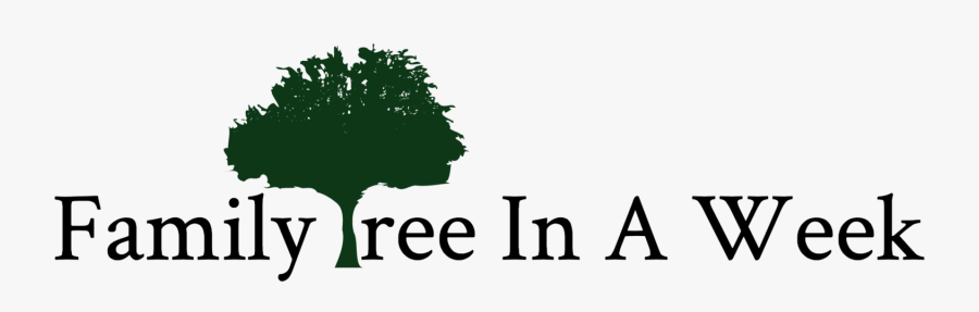 Tree, Transparent Clipart