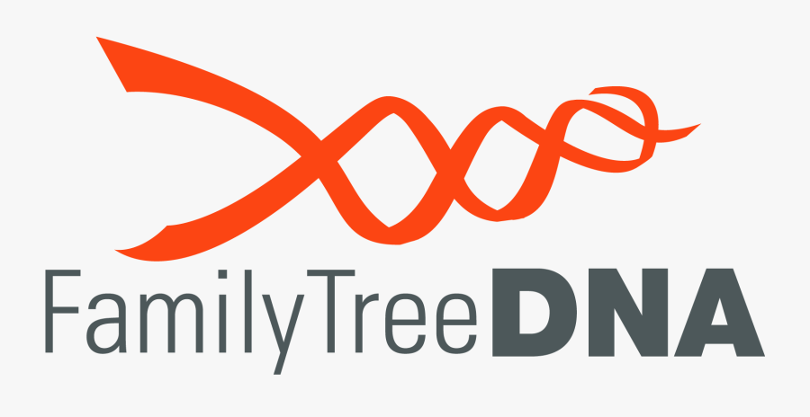 Family Tree Dna, Transparent Clipart