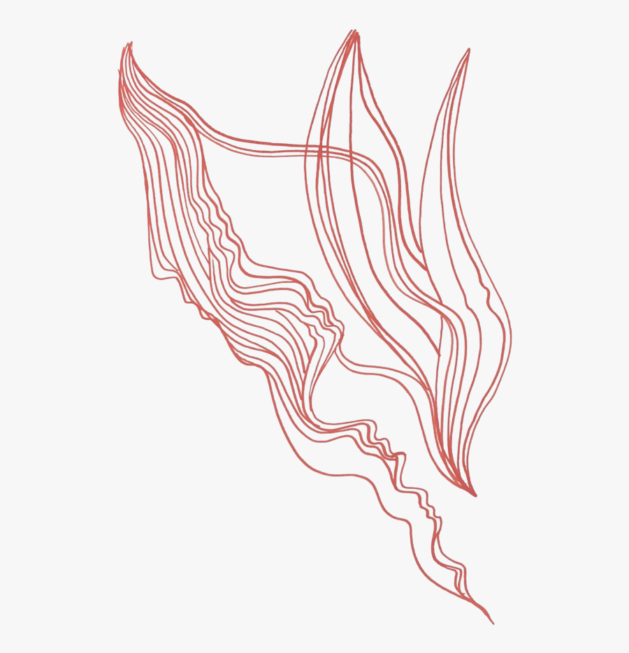 Illustration, Transparent Clipart