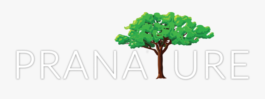 Back To A More, Transparent Clipart