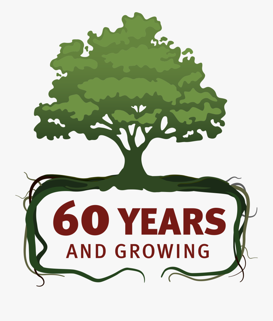 Outdoors Clipart Arbor Day - Firstline Live Oak, Transparent Clipart