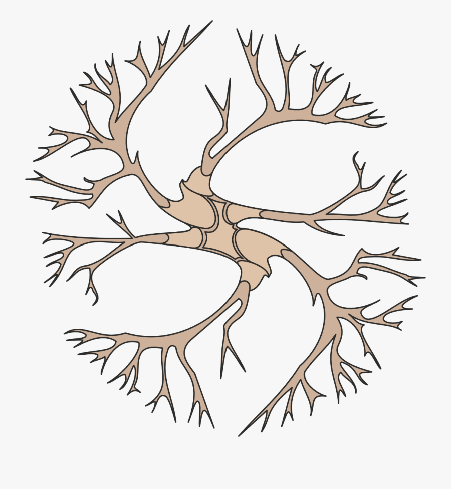 Logo Sequoia Energia, Transparent Clipart