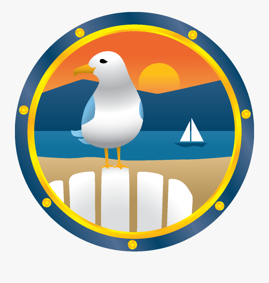 Life"s The Beach - Gull, Transparent Clipart
