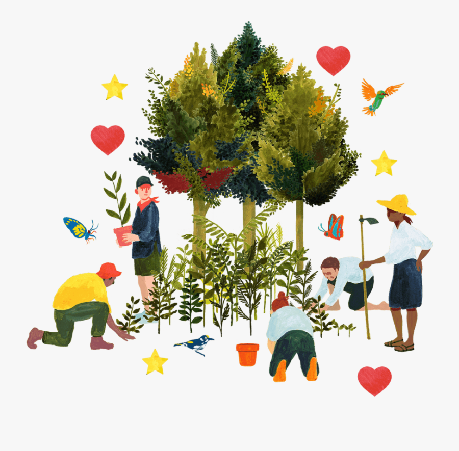 Gift Forest Visual Low 2 Compressor Compressor Compressor - Illustration, Transparent Clipart