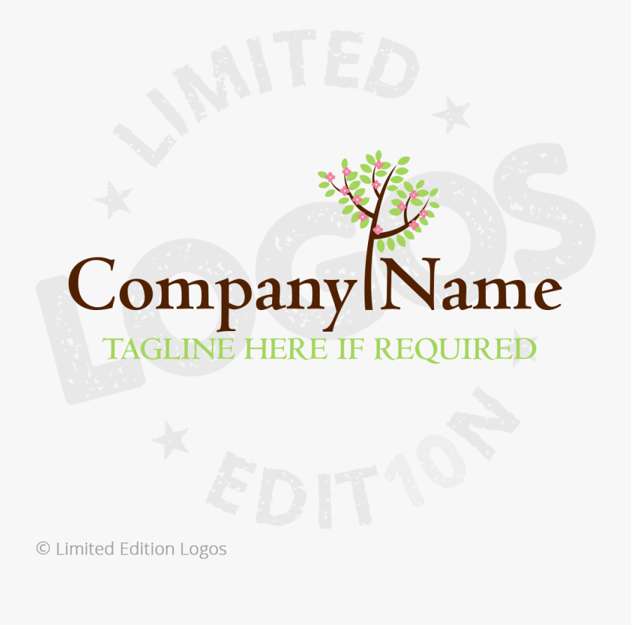 Community Transparent Tree - Beech, Transparent Clipart