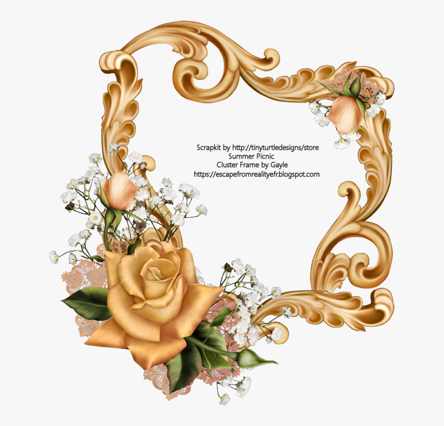 Hybrid Tea Rose, Transparent Clipart