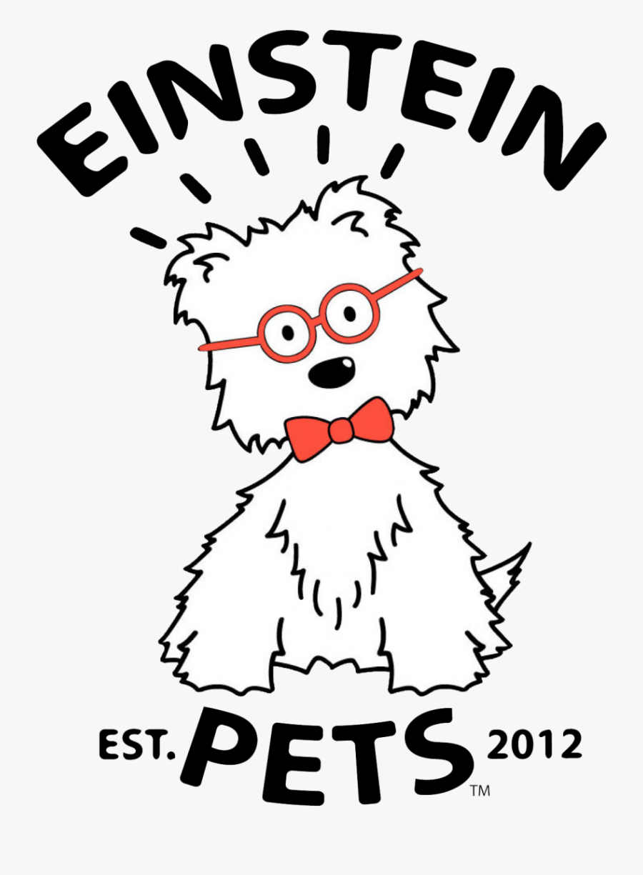 Ensign College Of Public Health, Transparent Clipart