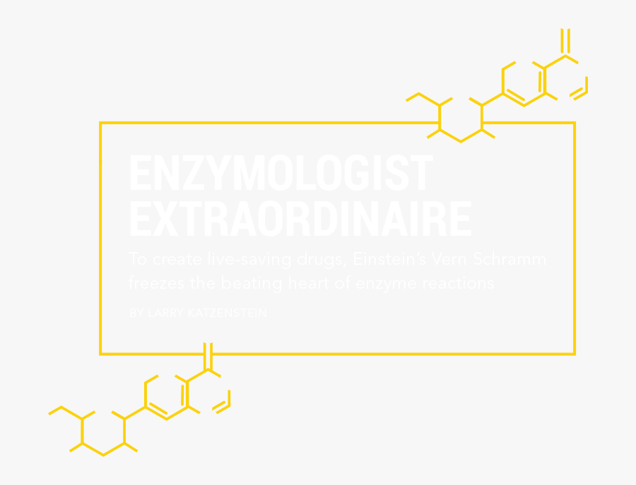 Diagram, Transparent Clipart