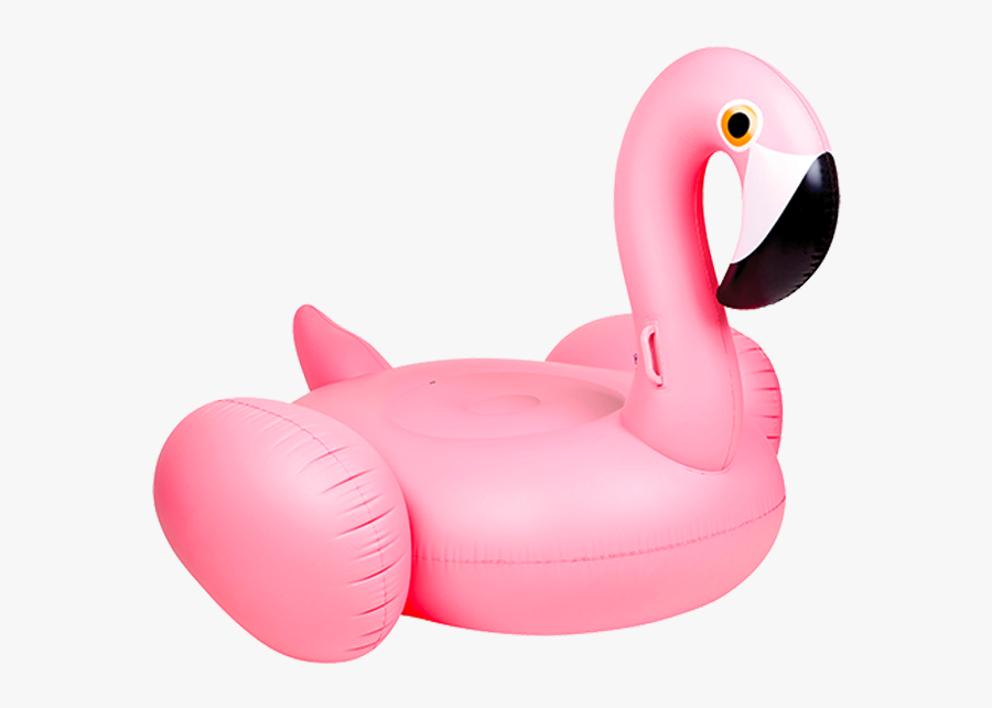 Sunnylife Flamingo, Transparent Clipart