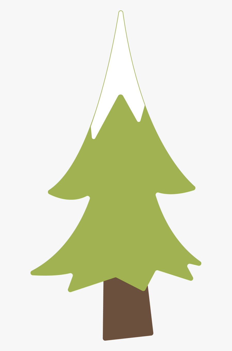Pine Tree, Transparent Clipart