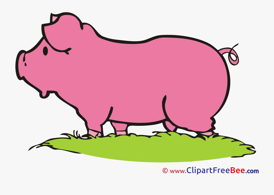 Clipart Farm Pig - Clip Art, Transparent Clipart