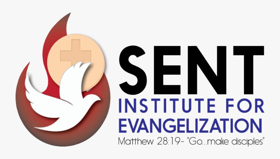 Graphic Design, Transparent Clipart