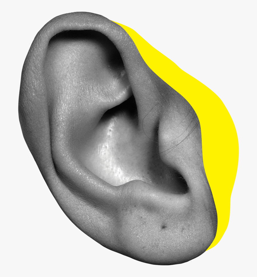 Volunteering At Fringe - Fringe Wellington 2019, Transparent Clipart