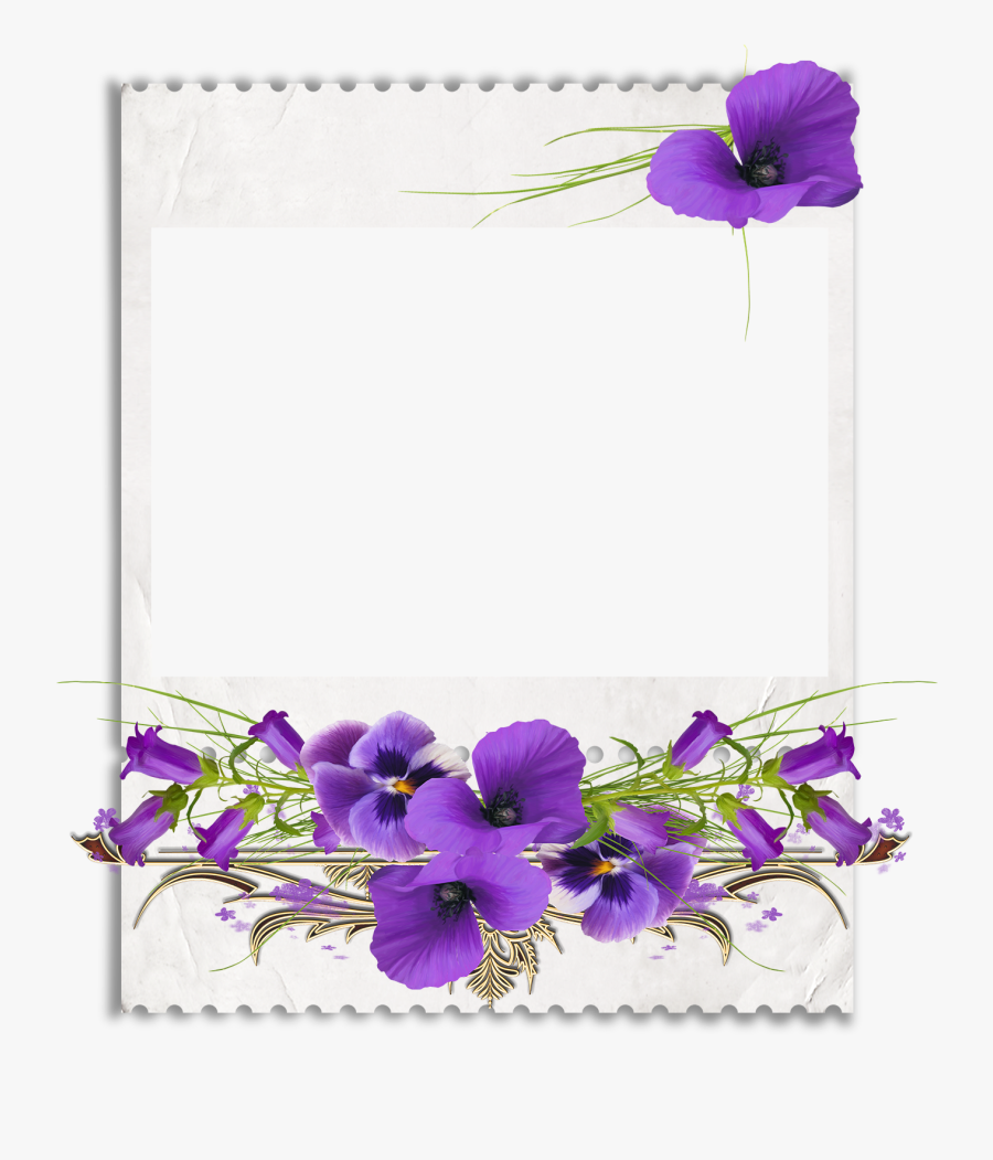 African Violets Clip Art - African Violet Border Clipart, Transparent Clipart