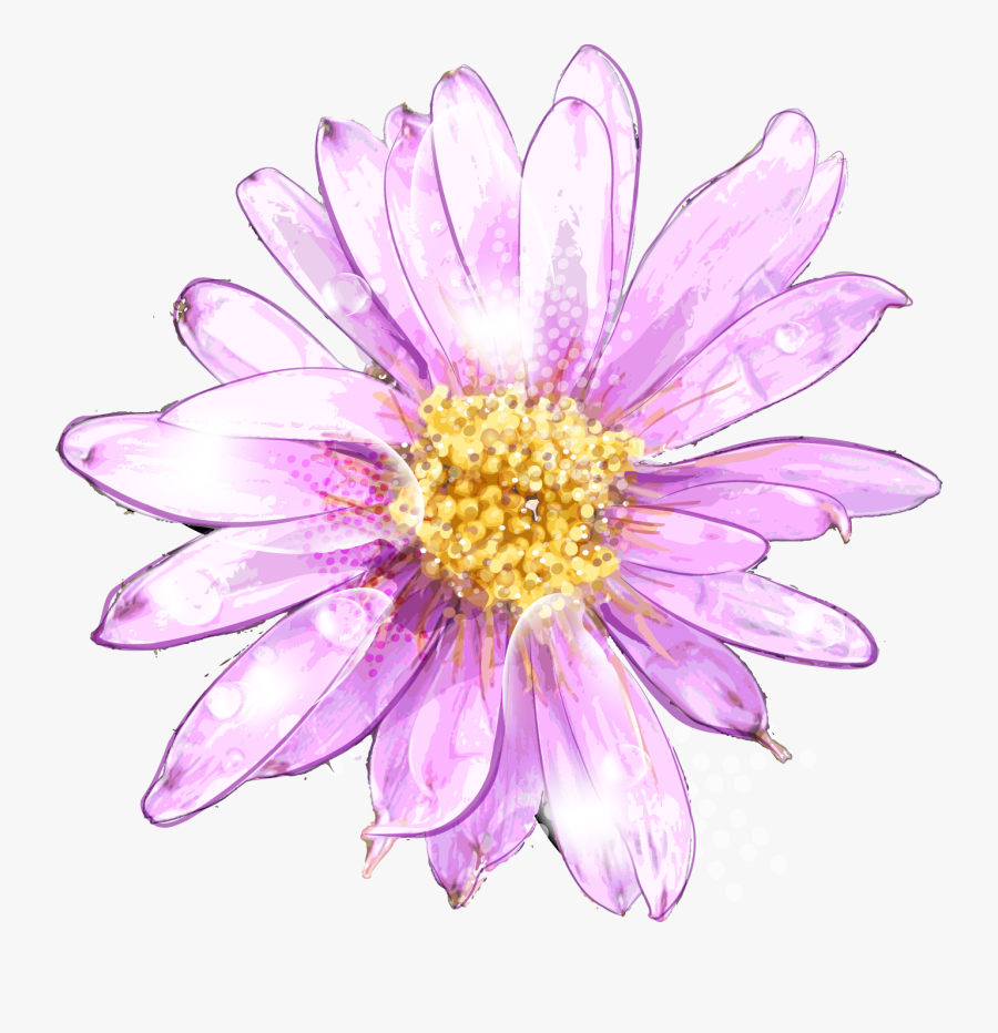 Ume Blossom Clipart Purple Chrysanthemum - Watercolor Painting, Transparent Clipart