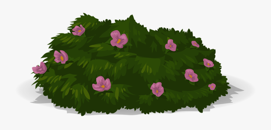 Garden, Transparent Clipart