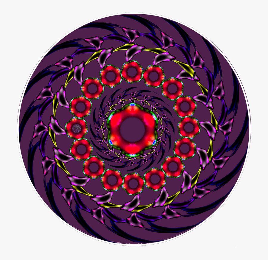 Circle, Transparent Clipart