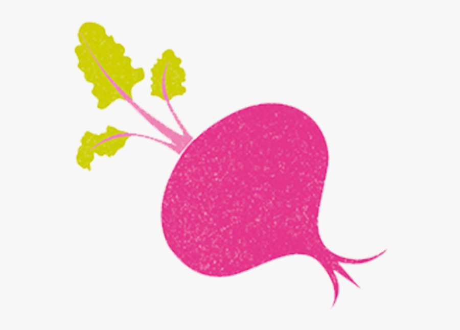 Clip Art Download Beetroot With Yorkshire Provender - Beet Greens, Transparent Clipart