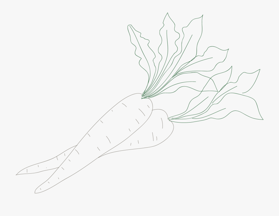 Line Art, Transparent Clipart