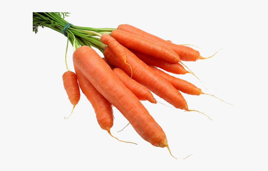 Carrot Radish Gratis - Transparent Carrot, Transparent Clipart