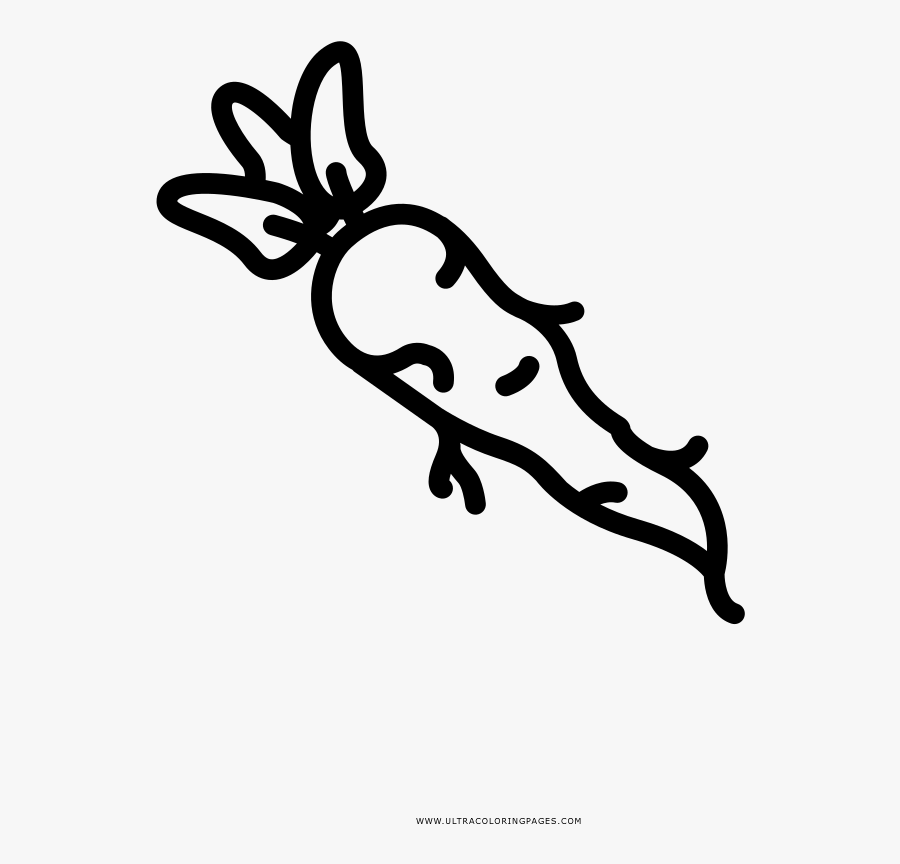 Daikon Radish Coloring Page - Illustration, Transparent Clipart