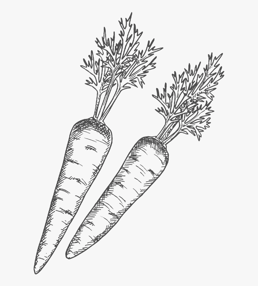 Sarabella S Southern Sauces - Radish Image For Drawing, Transparent Clipart