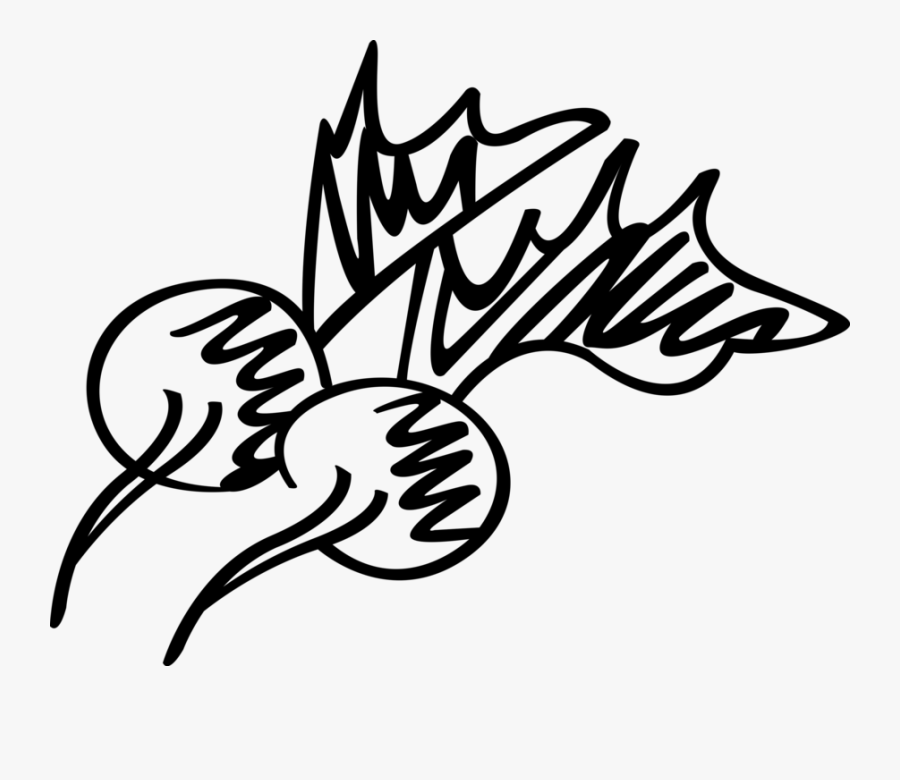 Vector Illustration Of Crisp, Pungent Edible Root Vegetable, Transparent Clipart