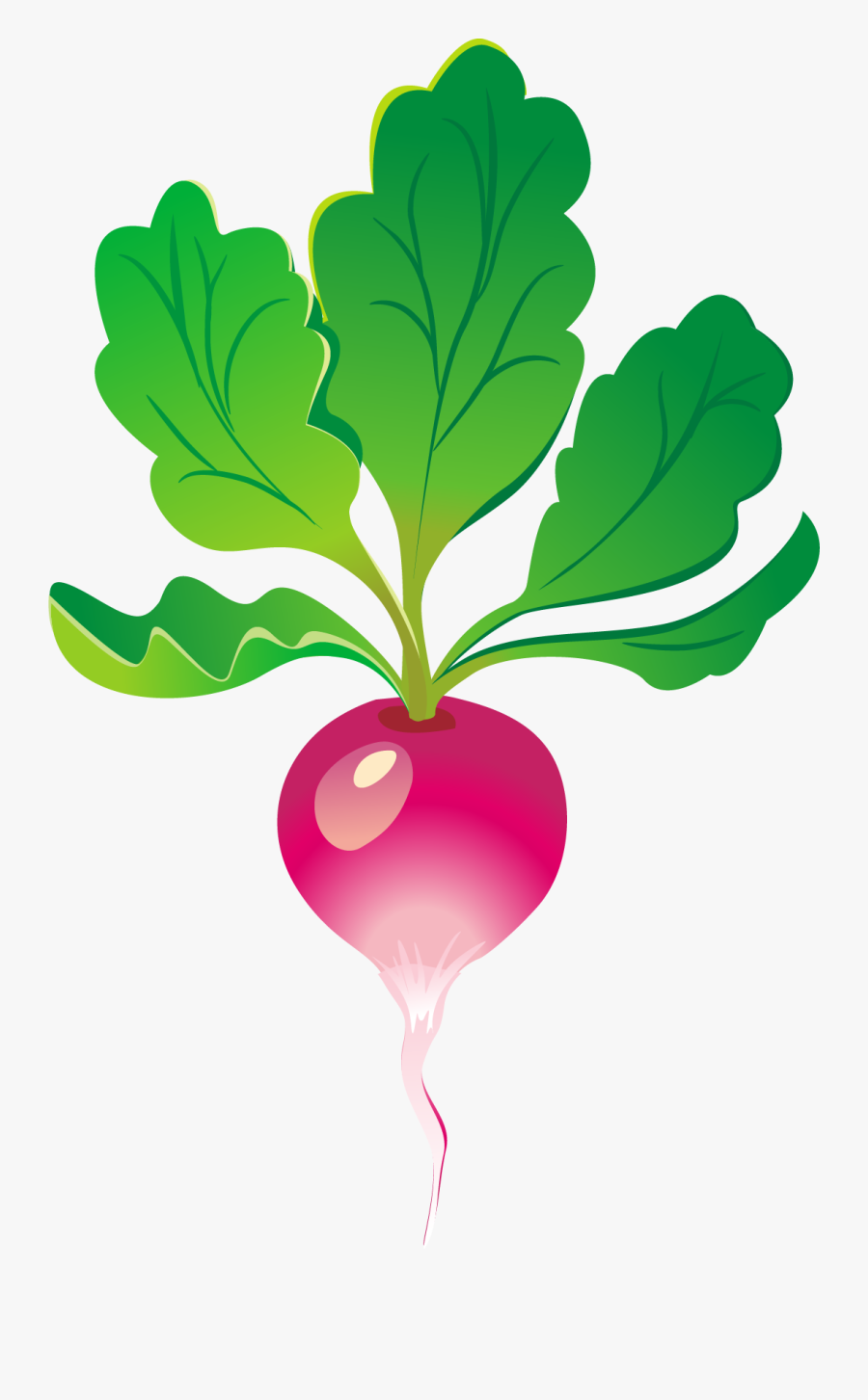 Vector, Transparent Clipart