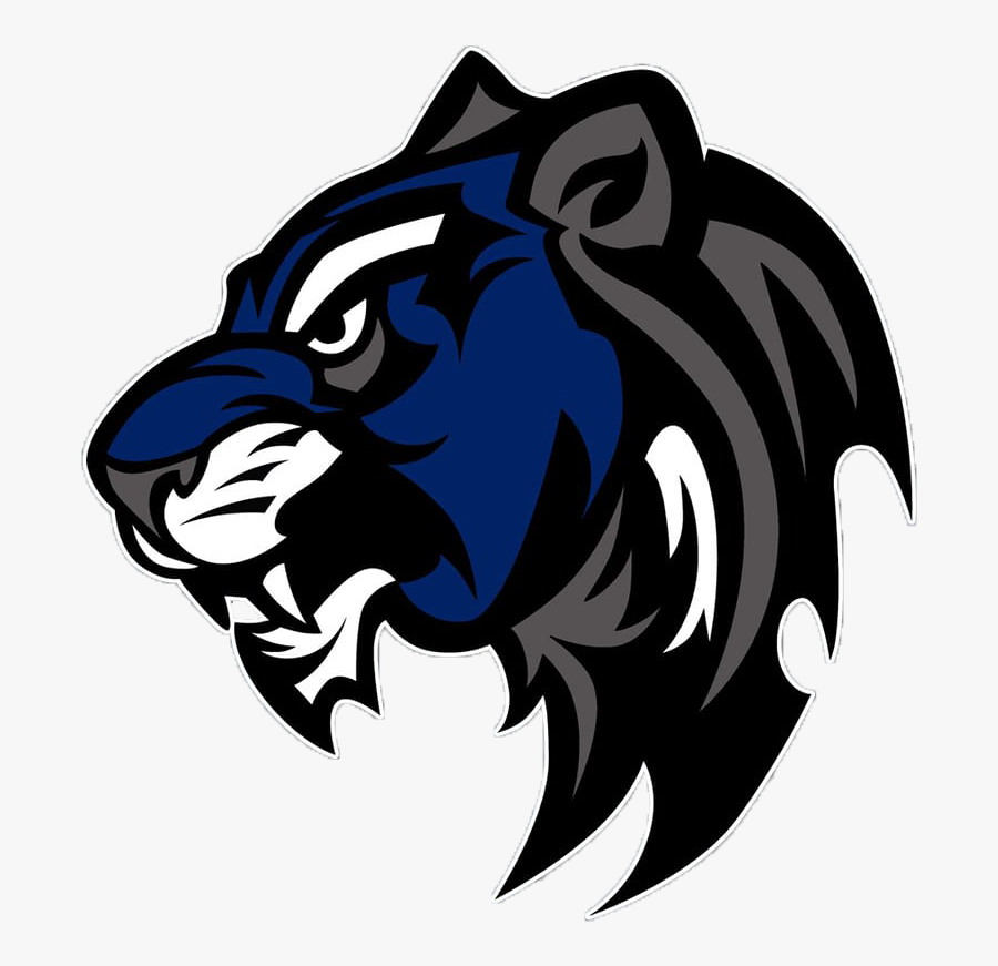 Wildcat Mascot, Transparent Clipart