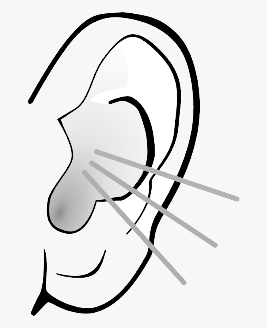 Ear Clipart Clip Art Free Panda Images Classroom Transparent - Ears Images Clipart Black And White, Transparent Clipart