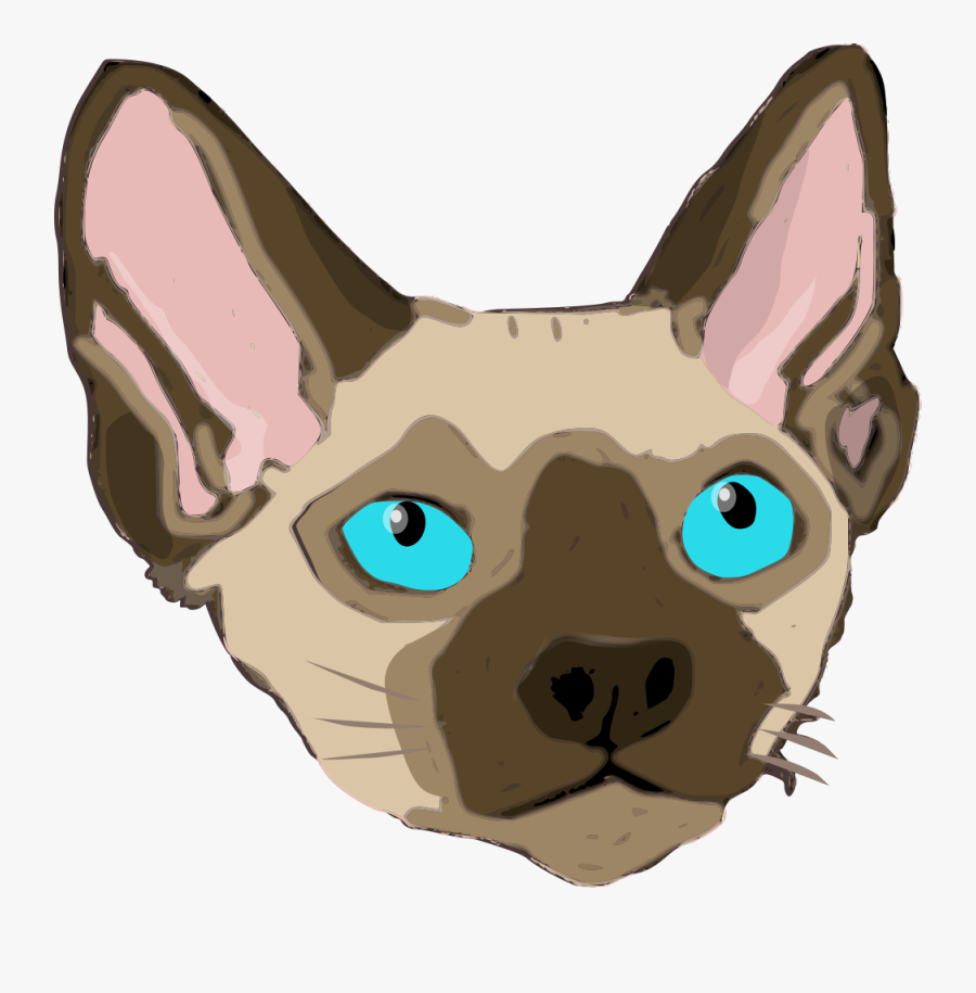 Devon Rex - Sphynx Cat, Transparent Clipart