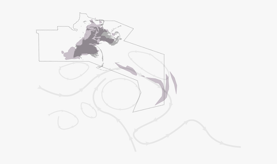 Sketch, Transparent Clipart